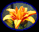 LilyBT.gif (2679 bytes)